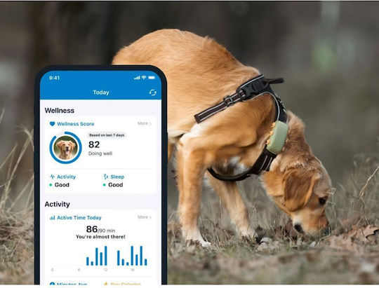 Tractive Smart GPS Pet Tracker Electric Dog Collar GPS
