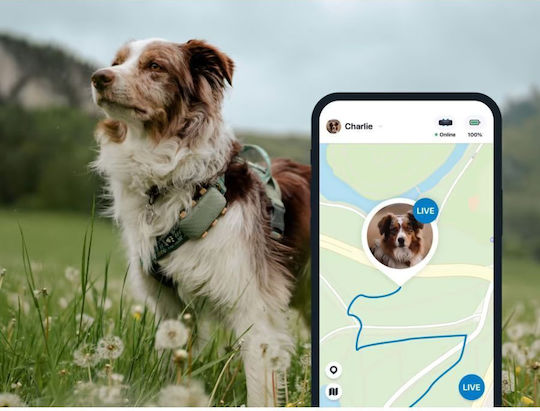 Tractive Smart GPS Pet Tracker Electric Dog Collar GPS