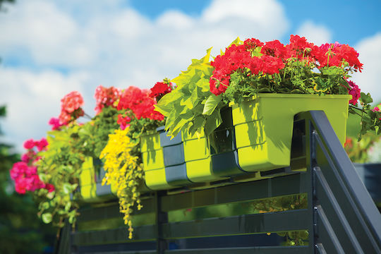Form Plastic Саксия За Цветя Черна Form Plastic Саксия За Цветя Черна