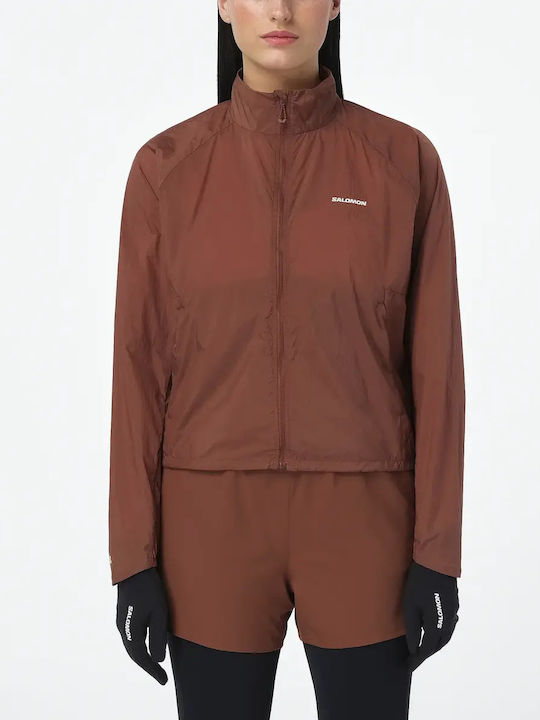 Salomon