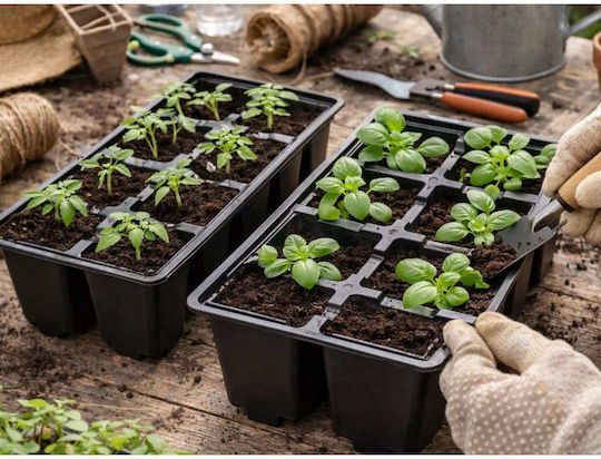 Seedling Pots Holes on the Bottom Square 64pcs Divo-dv 27927 Black