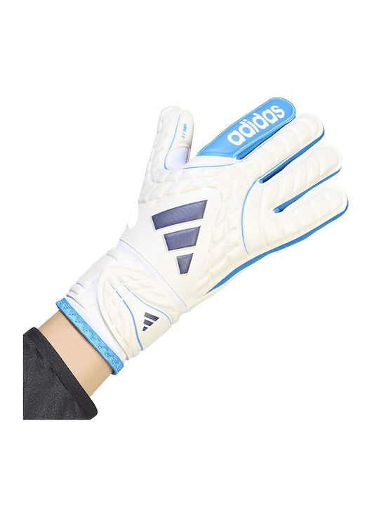 adidas Copa Gl Club Kinder Torwarthandschuhe Weiße