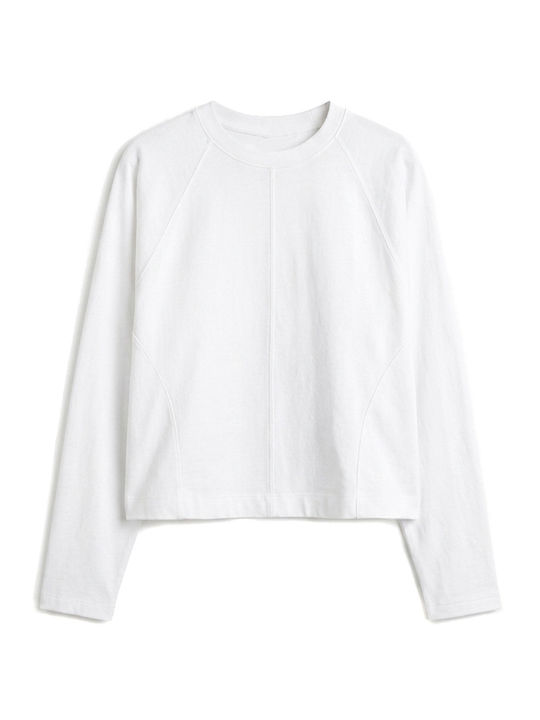 Women's Crop Cotton Long Sleeve White Top