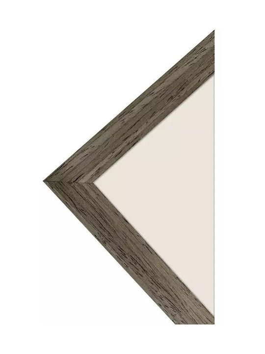 Focus Plastic Photo Frame