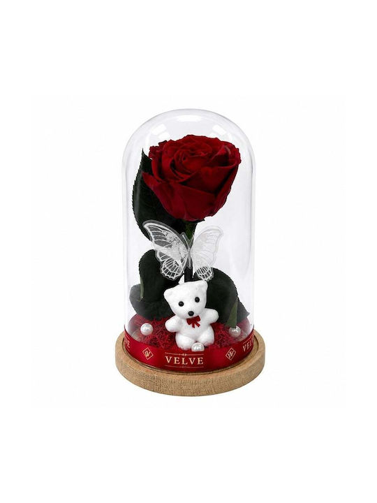 Rote Getrocknete Rose In Glasdom Weißer Teddybär Schmetterling Perlen