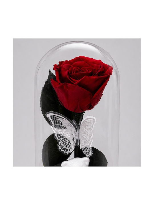 Rote Getrocknete Rose In Glasdom Weißer Teddybär Schmetterling Perlen