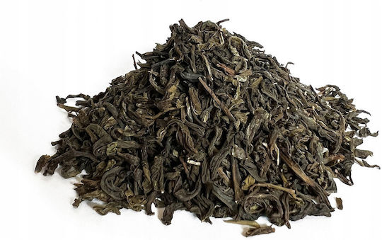 Green Tea Dot Green China Jasmine 75g