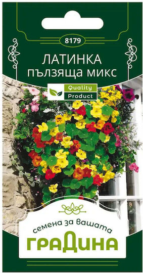 Семена Зеле Семена Зеле