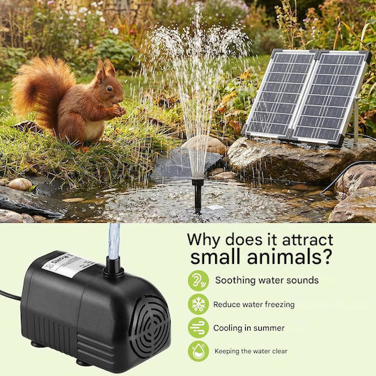Clevich 20w Fântâna Module