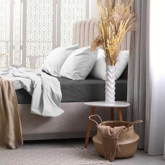 Darymex Bed Sheet Double With Rubber Hugger 160x200cm Anthracite