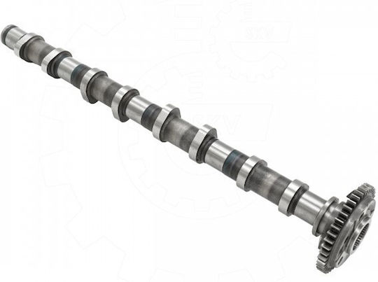 SKV Excentrici Auto Pentru BMW X1 / X2 / X3 / X4 / X5
