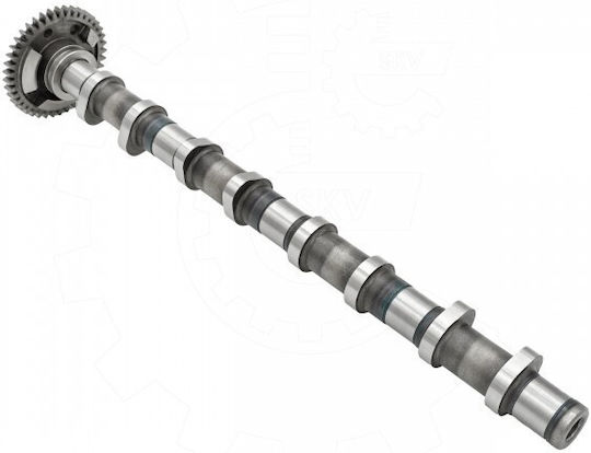 SKV Excentrici Auto Pentru BMW X1 / X2 / X3 / X4 / X5