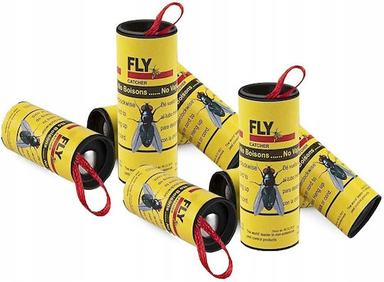 Trap for Flies Cockroaches Wasps with Adhesive Surface