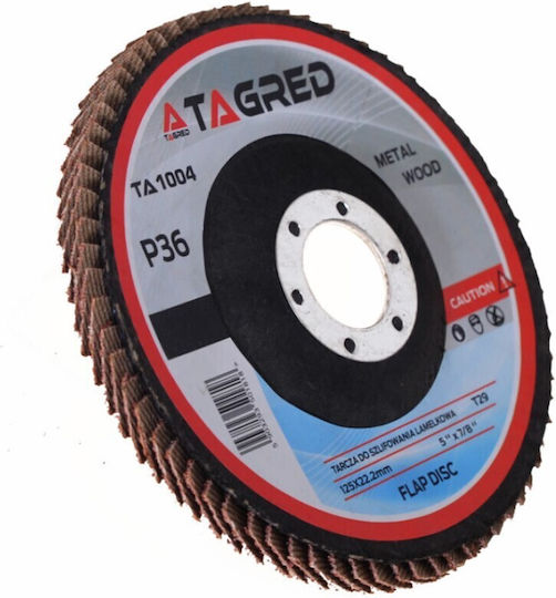Metal Schleifscheibe Tagred Ta1004 125mm/22.23mm P36