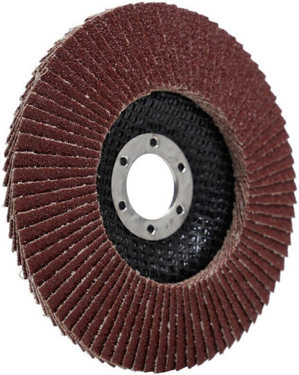 Metal Schleifscheibe Tagred Ta1004 125mm/22.23mm P36