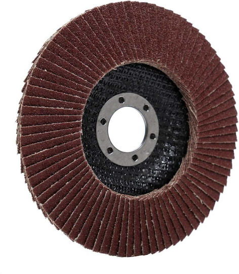 Ta1002 Circular Metal Grinding Disc 125mm/22.23mm P80 Tagred