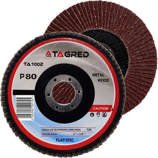 Ta1002 Circular Metal Grinding Disc 125mm/22.23mm P80 Tagred