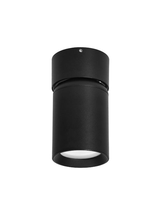 Orno Single Spot with Socket GU10 in Black Color