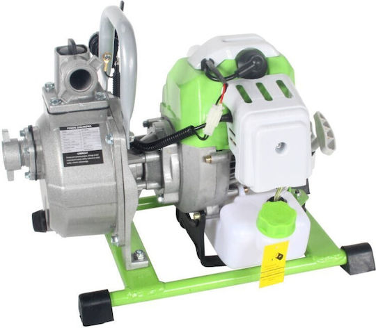 Bass Polska Pompa de apă de suprafață electrică 1.7hp