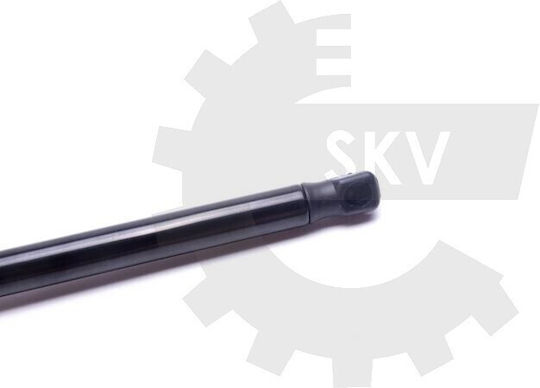 Trunk Shock for Ford Focus C-Max