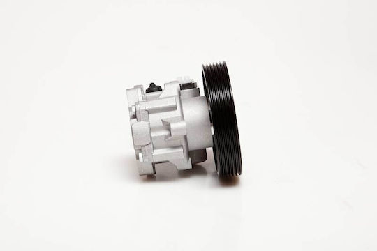 Lancia Phedra Servopumpe für den Motor 2.0 2.2 Hdi 4007aw 4007aw