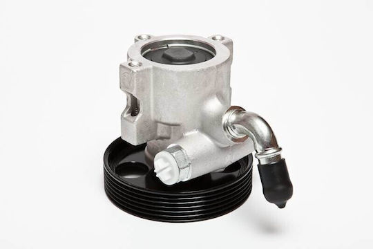 Power Steering System Pump Peugeot 306 1.9 D 4007w2 4007w2