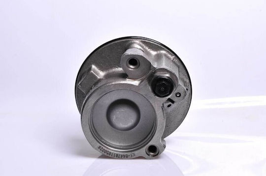 Power Steering Support Pump Voyager Caravan 2.0 3.3 3.8 4764528