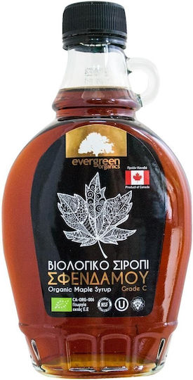Evergreen Organics Σιρόπι Σφένδαμου 250ml