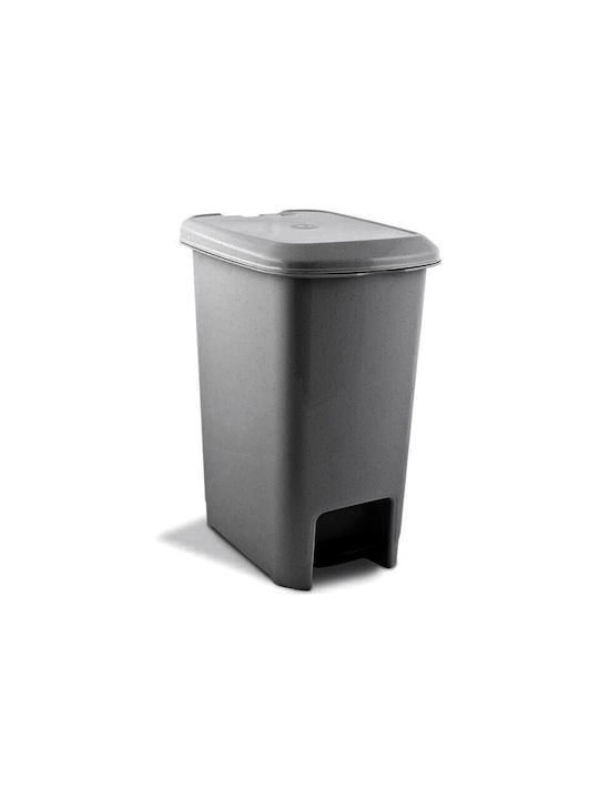 Viosarp Plastic Waste Bin with Pedal 10lt