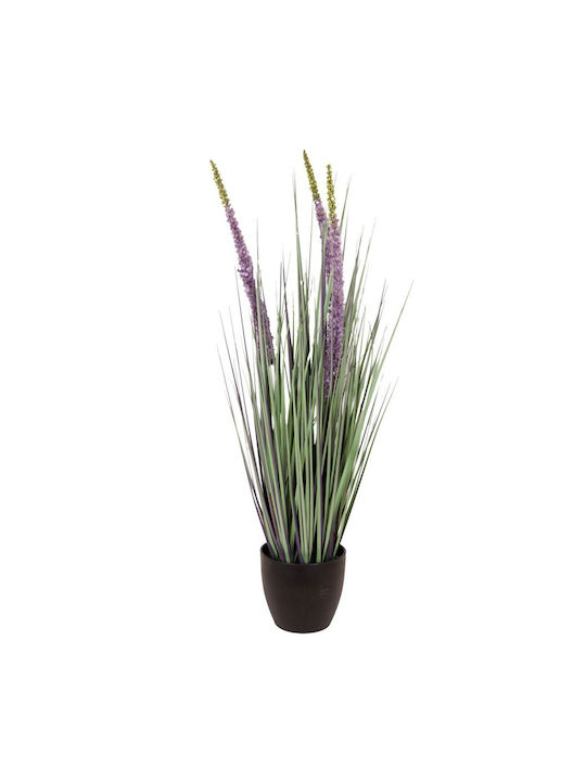 Plant Rosemary Potted Plastic 80cm