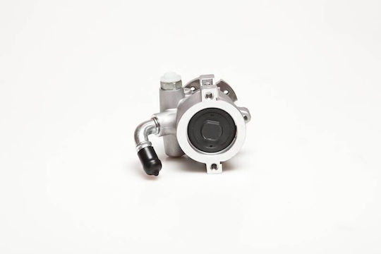 Servolenkungspumpe Citroen ZX 1.8 400786 400786