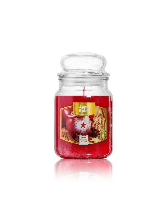 Aromatic Candle Apple Spice 510gr