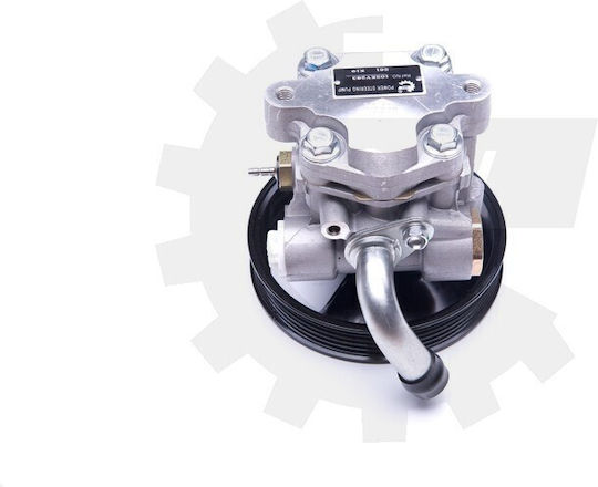 Pompa De Servodirecție Suzuki Grand Vitara 4910065d10