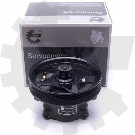 Servolenkungspumpe Ford Ka Ka Van 1.3 1217096