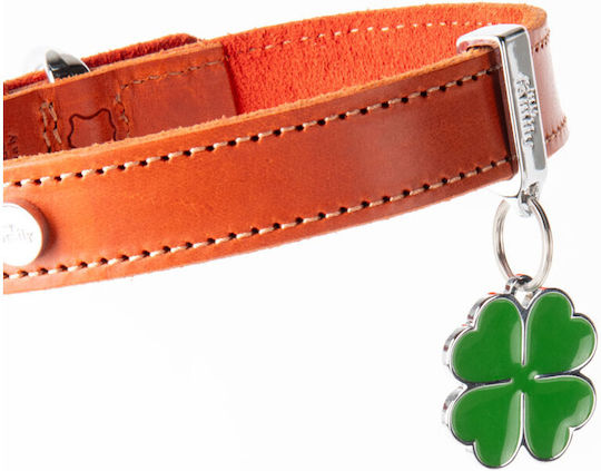 ID Tag My Family Charms Clover Shamrock Myfamily