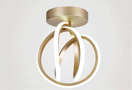 Lightplanet LED Ceiling Light Gold Lightplanet LED Ceiling Light Gold