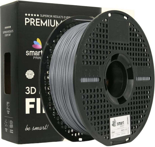 Professional Lab 3D Printer Filament Γκρι 1kg