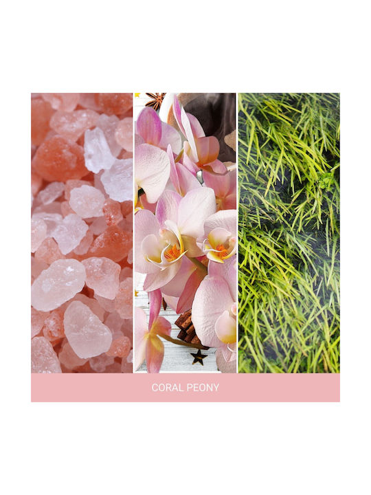 Yankee Candle Aromatisches Kerze in Gefäß mit Orchidee Duft 340g