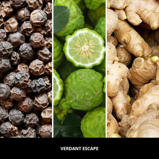 Millefiori Milano Ανταλλακτικό Αρωματικά Στικ Verdant Escape 250ml