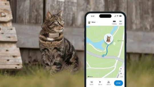 Tractive Cat Collar Brown
