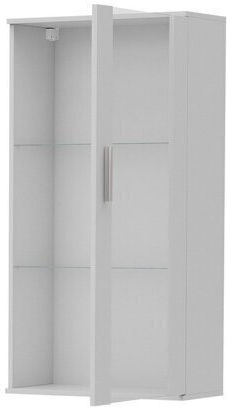 Tornola 103 Wall-Mounted Living Room Display Cabinet made of Wood with Windowed and Lighting 60x29x116cm
