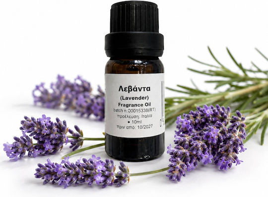 Lavender Essential Oil 10 ml