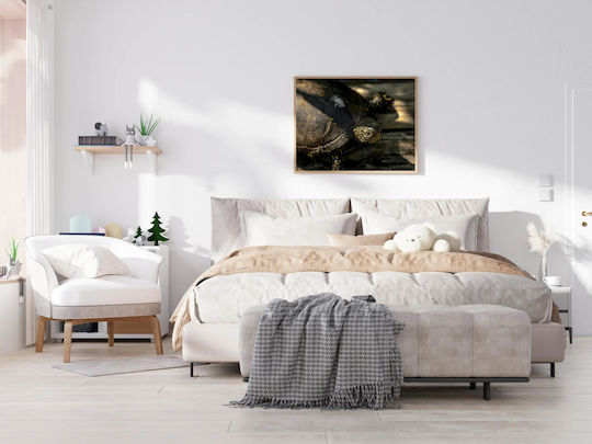 Turtle On Wooden Surface Χελώνα Σε Ξύλινη Επιφάνεια 1 Ξύλινος Turtle On Wooden Surface Χελώνα Σε Ξύλινη Επιφάνεια 1 Ξύλινος