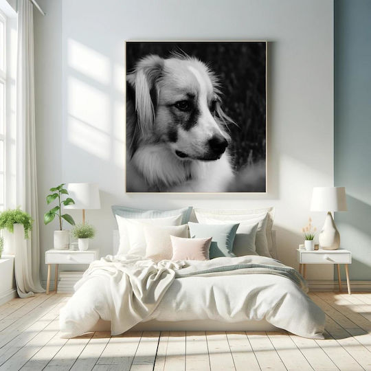 Contemplative Dog In Black And White Στοχαστικός Σκύλος Σε Ασπρόμαυρο 1