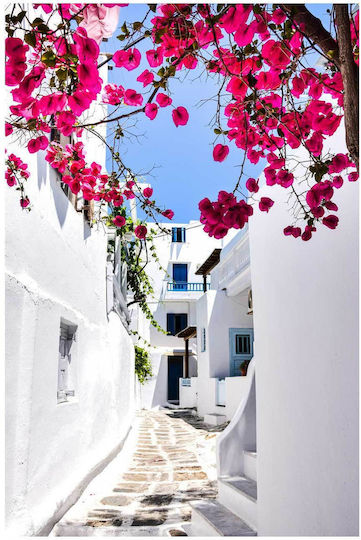 Painting Charming White Alley Vibrant Pink Flowers 100x150