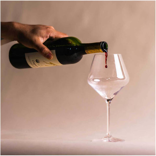 Πίνακας Pouring Red Wine Ρίχνοντας Κόκκινο Κρασί 110x110