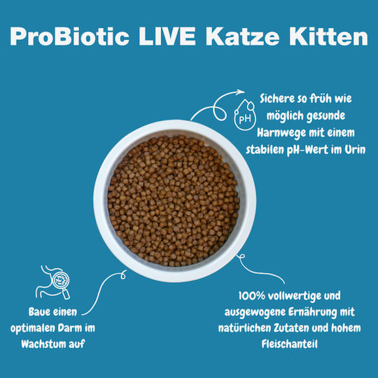 Probiotic Live Dry Cat Food for Kittens with Sensitive Urinary Tract with Salmon 2kg
