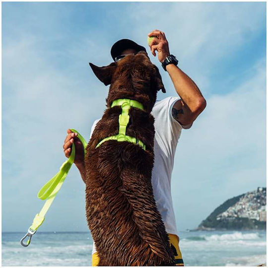 Zee-Dog Dog Leash Lead Strap Neopro In Yellow Colour