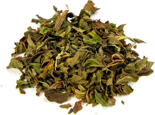 Ziółko Μέντα 50gr