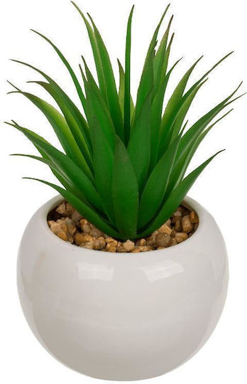 Artificial Plant in Small Pot Succulent Plant Blue 16cm 2pcs Next